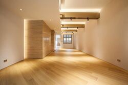 Sago Lane (D1), Shop House #501145491